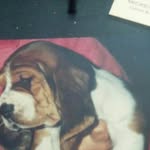 mickey bragg - @braggmickey - Instagram