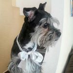Mickey bebé 💕 - @mickey_cadena - Instagram