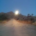 Mickey Cox - @gearman59 - Instagram