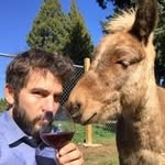 Mikey and Andrew Crews - @winegrapesdirect - Instagram