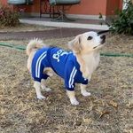 Mickey Davidson - @lilkokoni - Instagram