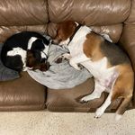 MICKEY Davidson - @mickey.davidson - Instagram