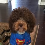 Mickey Day - @mickey.day - Instagram