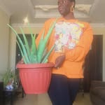 Mickey Dixon - @graceingreens - Instagram