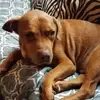 mickeydixon53 - @mickeydixon53 - TikTok
