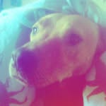 mickeydurrantbush - @mickeydurrantbush - Instagram