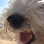 Mickey Duvall - @mickeyduvall.ebooks - Instagram