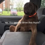 Mickey Ellis - @mickey.ellis.370 - Instagram