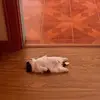 Mikey Epperson - @mikey.epperson - TikTok