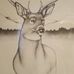 Mike Farris - Facebook