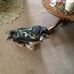 Mike Farris - Facebook