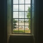Mike Flynn - @mike._.flynn - Instagram