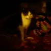 Franklin Mickey - @franklinmickey049 - TikTok