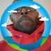 Mickey Garrett - Facebook