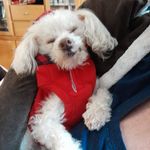 Mickey Garrett - @abestgarrett3245 - Instagram