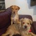 Mike Garrett - Facebook