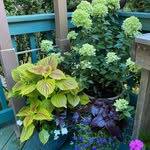 Mike Granger - @mgrangerlandscapes - Instagram