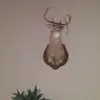 Mickey Gray - @mickey.gray - TikTok