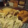 Mickey Gray - @mickey.gray0 - TikTok