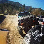 Mickey Hall - @mickeyhall213 - Instagram