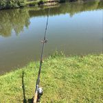 mikey Higgins - @mikey_fishing_7 - Instagram