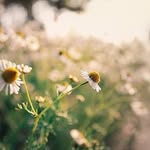 Mickey Holmes - @mickey.holmes.56 - Instagram