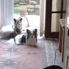 Mickey Holmes - @mickey.holmes - TikTok