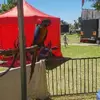 Mickey Holmes - @mickey.holmes7 - TikTok