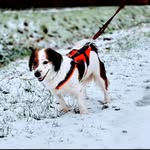 Mickey - @mickey.holti - Instagram