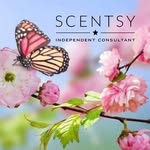 Mickey Hunter🌸🌸 - @mickeysscentssanctuary_xx - Instagram