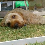 Mickey - @_mickey_law_ - Instagram