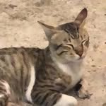Mickey Law - @lcl_m_l - Instagram
