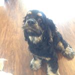 Mickey Lou Tye - @mickeyloutye - Instagram