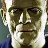 Mike Lyons - @mike.lyons1 - TikTok