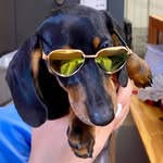 Mickey Marsh - @mickeymarsh2021 - Instagram