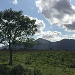 Mike McClure - @mcclure3482 - Instagram