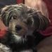 Mike McDaniel - Facebook