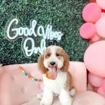 Mickey “Mick” Moody - @_mickeymoody - Instagram