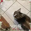 mickeymorgan8 - @mickeymorgan8 - TikTok