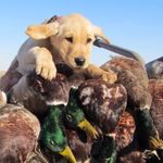 Mickey Morton - @xxthehunterboyxx - Instagram