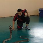 mickey moses - @mickeymoses23 - Instagram