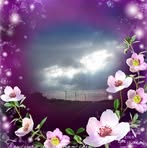 Mickey Munoz - Facebook