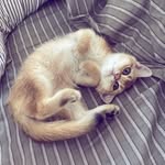 @mickey_pearson.gold - Instagram
