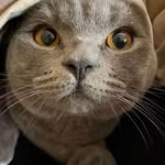 Mickey_Pearson - @mickey_pearson3 - Instagram