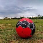 Thalapathy - @mickey__pearson_ - Instagram