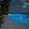 mickey pena - @mickey.pena1 - TikTok