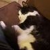 Mickey Pickett - Facebook
