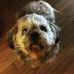Mickey Pickett - Facebook