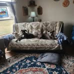 Mickey Potts - Facebook