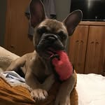 Mike Pullen - @friscomike63 - Instagram